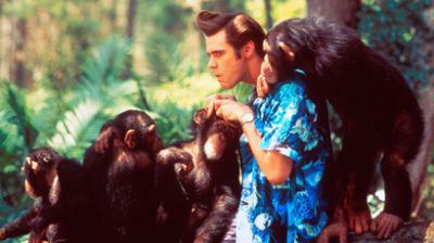 b2ap3_thumbnail_bushcraft-ace-ventura.jpg