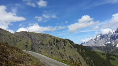 2014-06-05 16.24.31.jpg