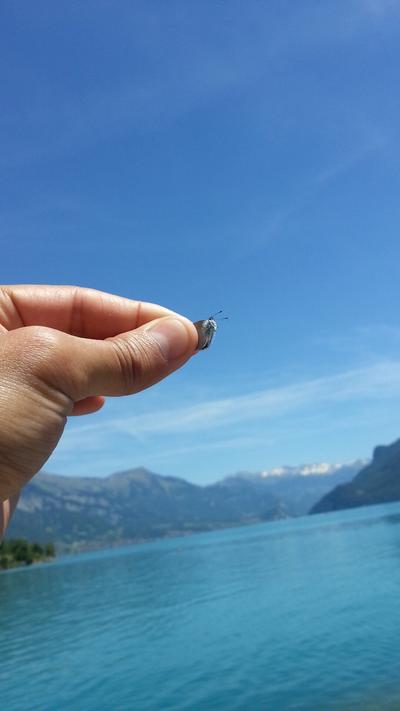 2014-06-07 13.41.18.jpg