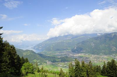 _DSC4683.jpg