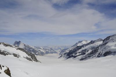 _DSC5517.jpg