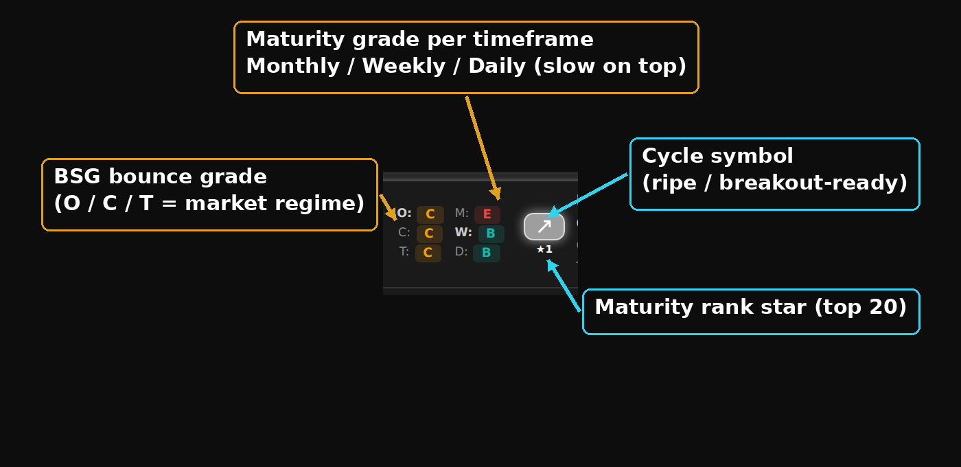 Two stacked dashboard cards with callout labels: the BSG bounce grade beside the three-timeframe D/W/M maturity stack, the white cycle symbol, and the maturity rank star (top 20)